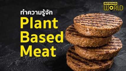 ทำความรู้จัก Plant Based Meat l STORY OF WORLD
