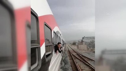 Mısır'da sahibinden kaçan at iki tren arasına girdi