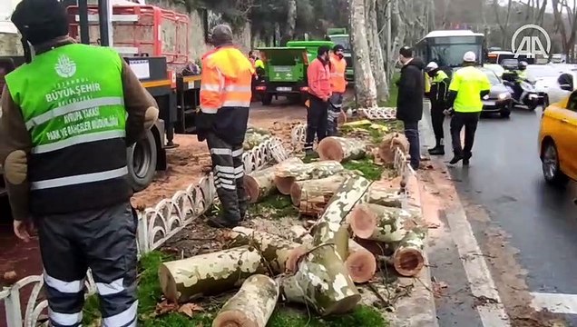 Beşiktaş'ta ağaca çarpan İETT otobüsünün şoförü yaralandı