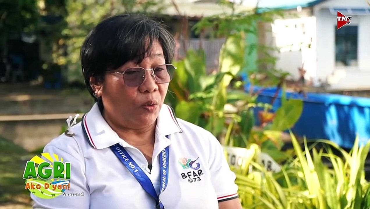 Natural food para sa siganid Part 2