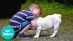 Los beneficios que aportan los animales a la infancia