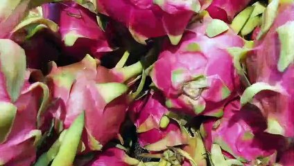 Xiaomi CyberDog olor