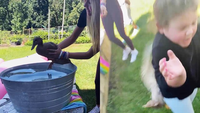 'Baby girl afraid of ducks gets jumped by a... DUCK! '
