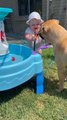 Toddler Laughs Hysterically While Drinking Water From Hose With Dog