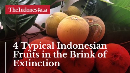 4 Typical Indonesian Fruits in the Brink of Extinction