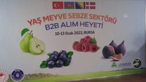 Yaş meyve sebze sektörü alım heyeti organizasyonunda yabancı alıcılar Bursa'ya geldi