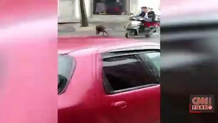 Motokuryeye başıboş köpek şoku
