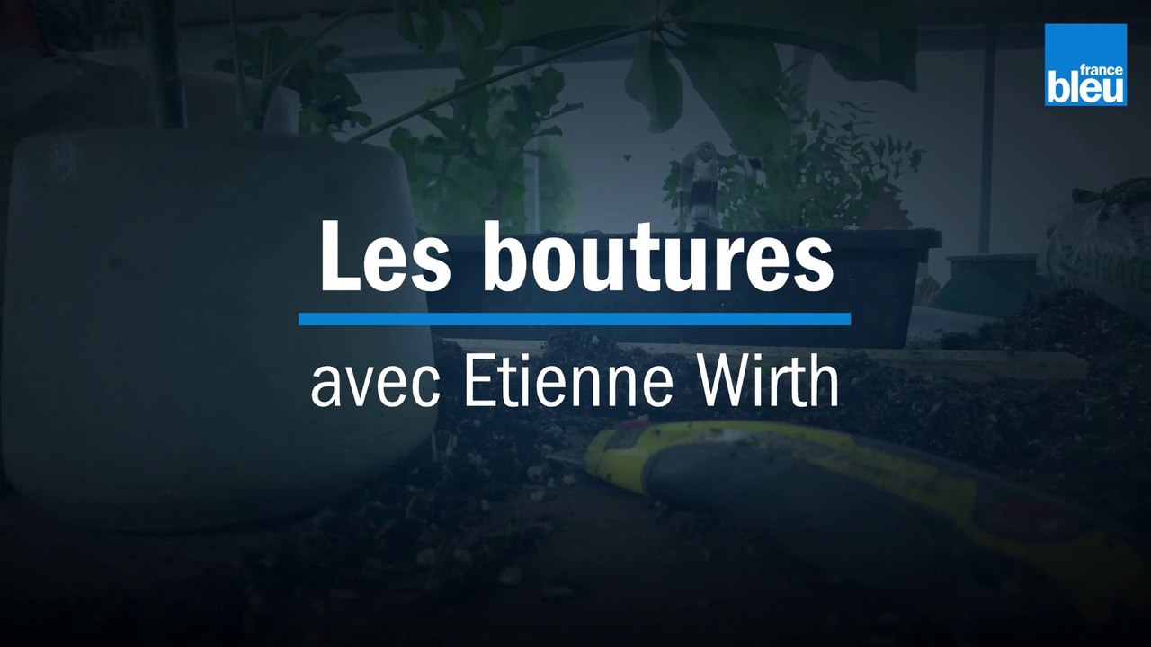 Les boutures - avec Etienne Wirth