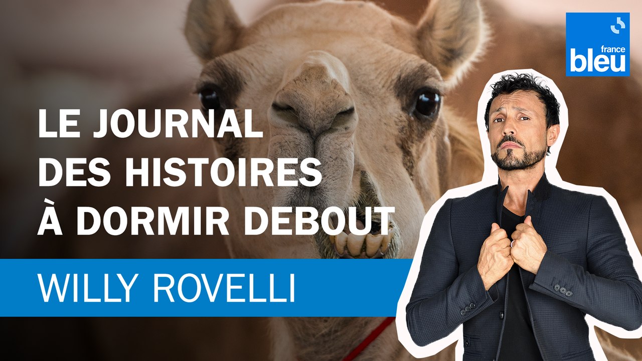 Le journal des histoires à dormir debout - Le billet de Willy Rovelli