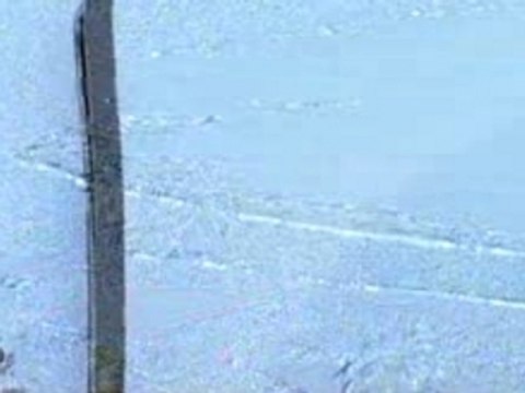 Pitbull Feat Lil Jon - The Anthem