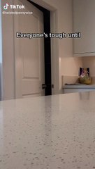 Scare Cam Funny Reaction #1 | Try Not To Laugh | Funny Video On TikTok For Youtube No Copyright #prank #tiktok #scarecam