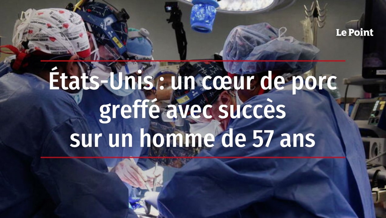 Etats Unis : un coeur de porc greffé avec succès sur un homme de 57 ans