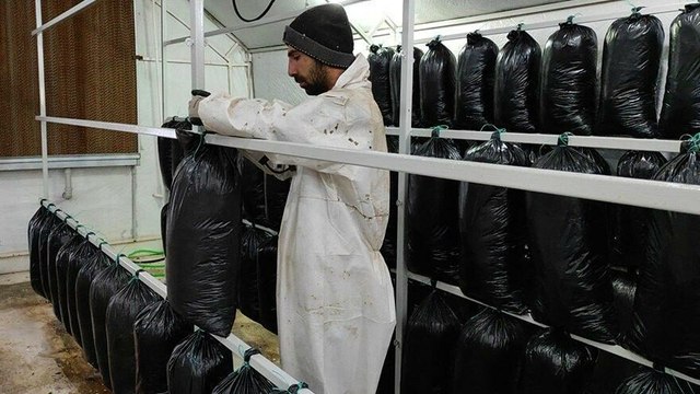 TIR şoförlüğünü bırakıp bu işe girdi! Yılda 600 bin lira kazandı