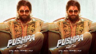 Pushpa Biggest Record Break Box Office Collection | 83 vs Pushpa | 83 Movie Box office collection | South movie vs Bollywood movies