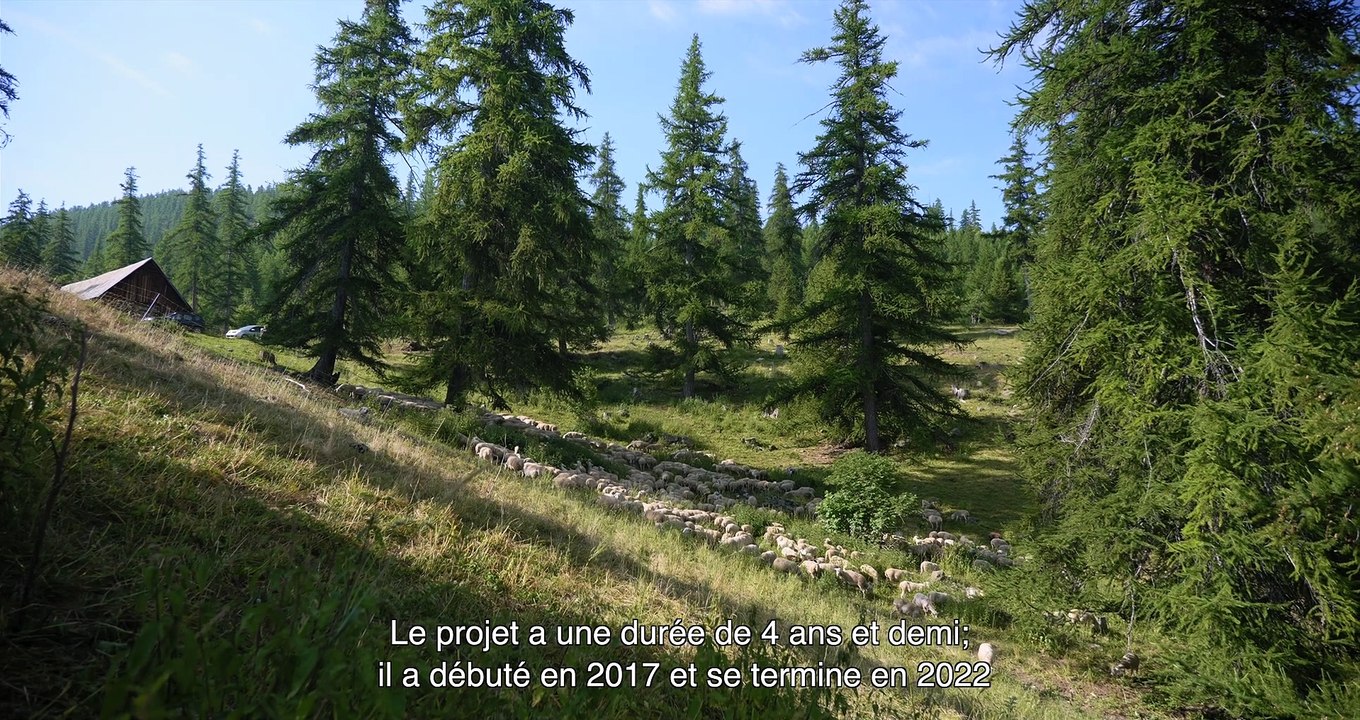 Let’s graze our future ! #2