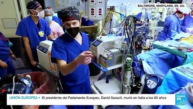 Cirujanos de EE. UU. trasplantan con éxito un corazón de cerdo a una persona