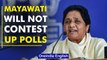 UP Assembly elections 2022: BSP chief Mayawati will not contest | Oneindia News