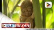 Turismo sa Bohol, patuloy na bumabangon matapos hagupitin ng bagyo