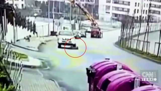 Oyun oynayan köpeği aracıyla ezdi