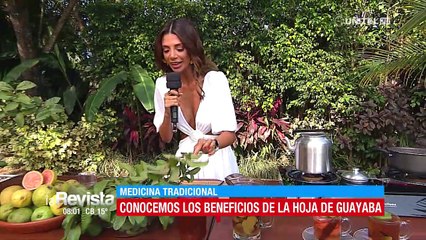 Te mostramos como hacer una infusión con hojas de guayaba