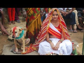 أغرب الزيجات حول العالم.. أحدهم تزوج « حلة أرز » وأخرى ارتبط بسجادة أحبتها