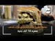 اول مرة في مصر مطعم يقدم ساندوتش فراخ مطلي بالذهب : «سعره 18 ألف جنيه»