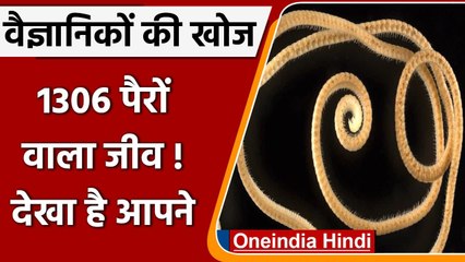 Worlds Leggiest Animal: वैज्ञानिकों ने ढूंढा 1306 पैरों वाला जीव, देखें तस्वीर | वनइंडिया हिंदी
