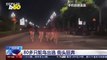 Obscene Ostriches! Feathery Footage Shows a Flock of Escaped Ostriches Running Down a Chinese Street!