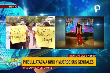 Puente Piedra: perro pitbull muerde a niño de 8 años en sus genitales y lo deja grave