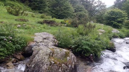 STREAM FLOWING THROUGH ROCKS