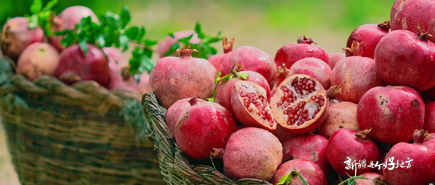 Visite du Xinjiang : gastronomie 新疆特色美食