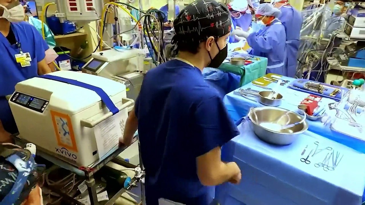Homem recebe primeiro transplante de coração de porco