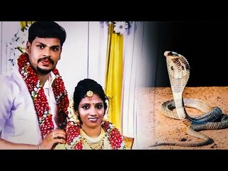 استأجر حية سامة للتخلص من زوجته.. «نجت من الأولى وماتت في الثانية»