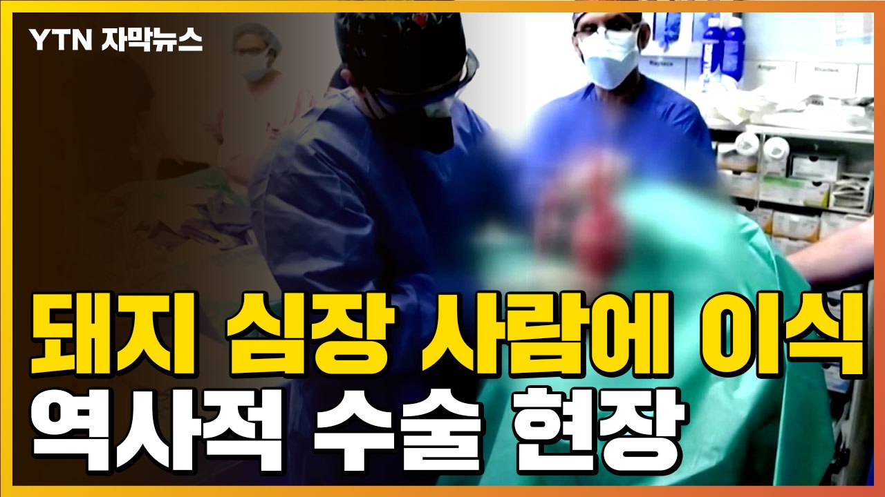 [자막뉴스] 시한부 환자에게 돼지 심장 이식...역사적 수술 현장 / YTN