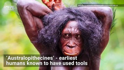 Before Opposable Thumbs, How Did Early Humans Get By?