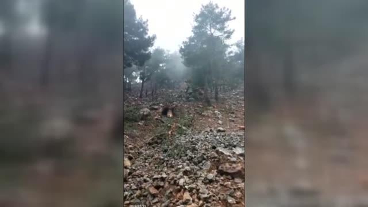 Tek katlı evin kiler bölümünün üzerine kaya parçası düştü