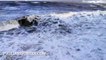 Puglia: mareggiata divora completamente la spiaggia di Bisceglie - FOTO e VIDEO