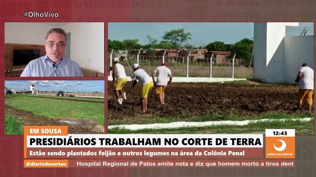 Presidiários da Colônia Penal trabalham no corte de terra e no plantio de feijão