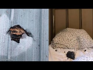 فوجئت به على سريرها.. نيزك يسقط على امرأة فماذا حدث لها؟