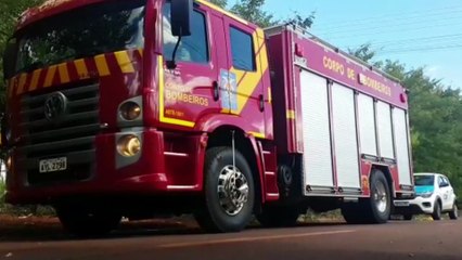 Criança é atacada por abelhas ao subir em pé de manga