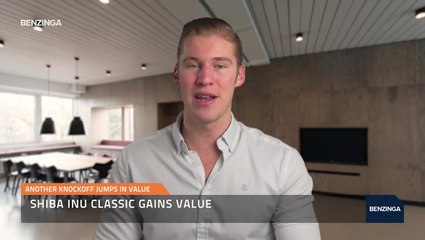 Shiba Inu Classic Gains Value