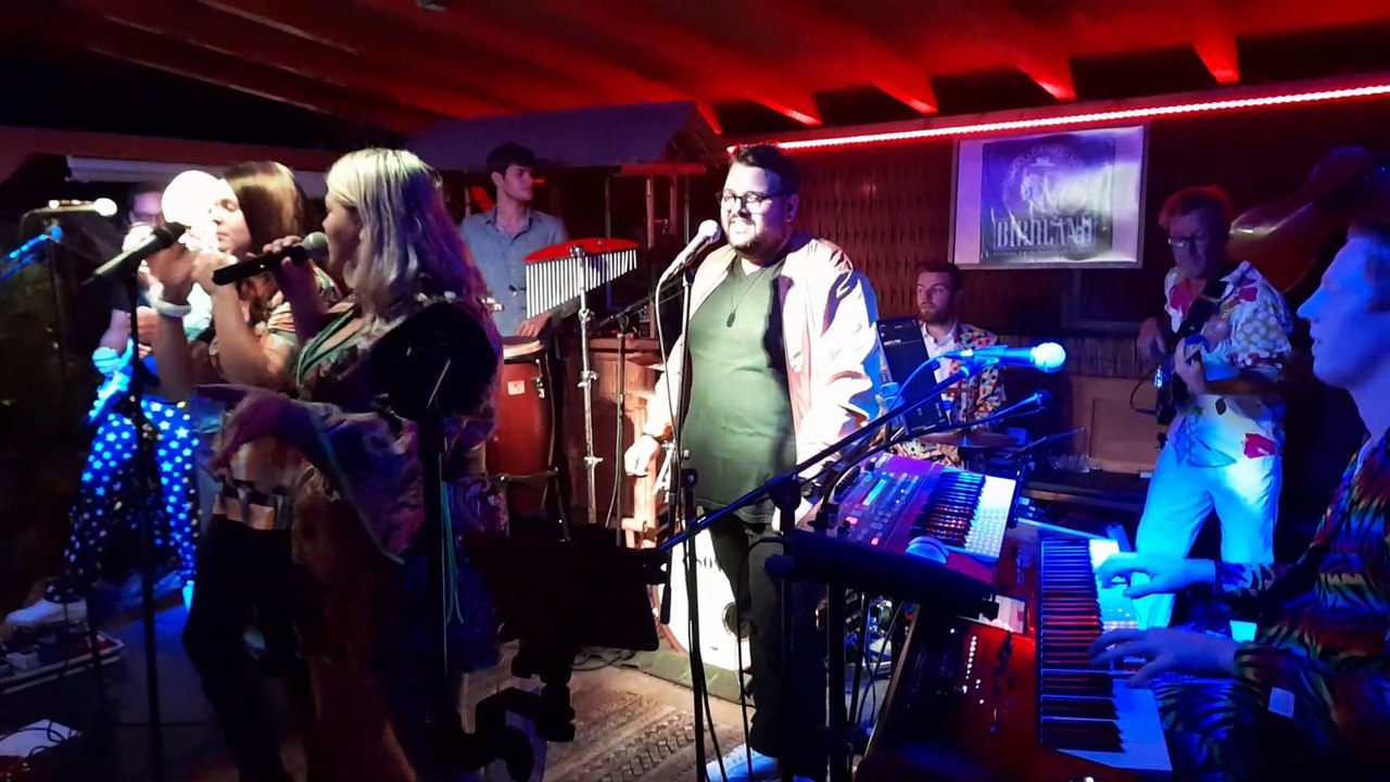 Cover I will survive, von Gloria Gainor