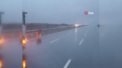 Otoyol hipodroma döndü: Başıboş at böyle görüntülendi