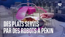 Des plats servis par des robots aux Jeux Olympiques d'hiver de Pékin