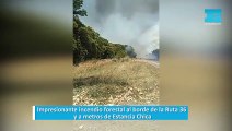 Impresionante incendio forestal al borde de la Ruta 36 y a metros de Estancia Chica