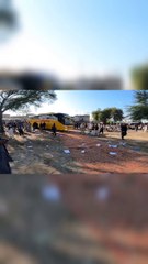 Niazi Express 99 New Higer Bus