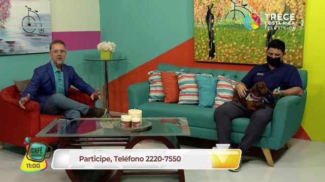 Como saber si mi mascota está hidratada