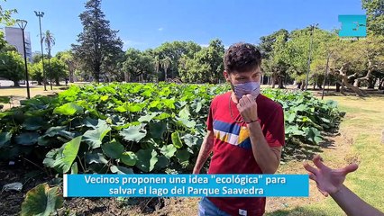 Vecinos proponen una idea "ecológica" para salvar el lago del Parque Saavedra