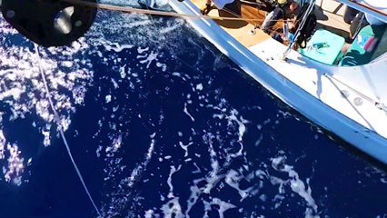 Steady Action in Hawaii