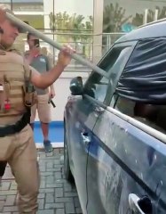 Cadela resgatada agonizando em carro em Balneário Camboriú